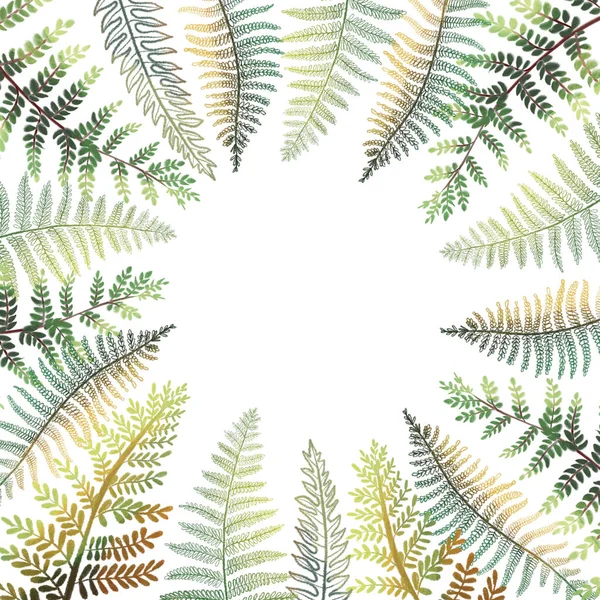 Тропічна Квіткова Рамка Шаблон Карти Намальованим Зеленим Листям Папороті Білому — стокове фото
