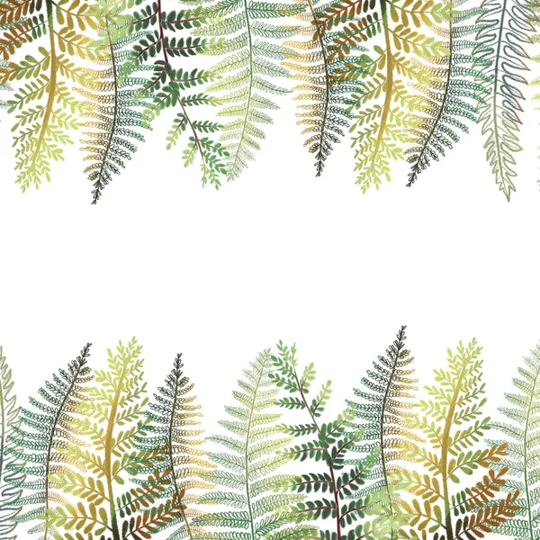 熱帯の花の境界線 白地に手描きの緑のシダの葉を持つカードテンプレート — ストック写真
