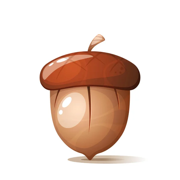 Cartoon acorn, noten op de witte achtergrond. — Stockvector