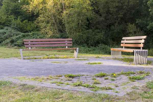 公園内の2つのベンチは. — ストック写真