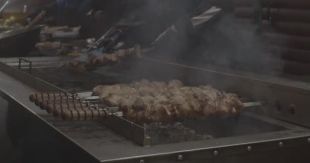 Verse Warme Gegrilde Kip Shish Kebab Barbecue Raster Houtskool — Stockvideo