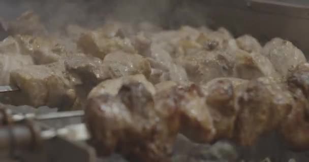 Verse Warme Gegrilde Kip Shish Kebab Barbecue Raster Houtskool — Stockvideo