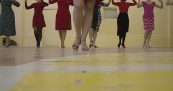 屋内でアクティブな社交ダンスで美しい女性のような男性の足 — ストック動画