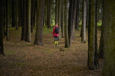 Kadın kırmızı paltolu ormanda hiking