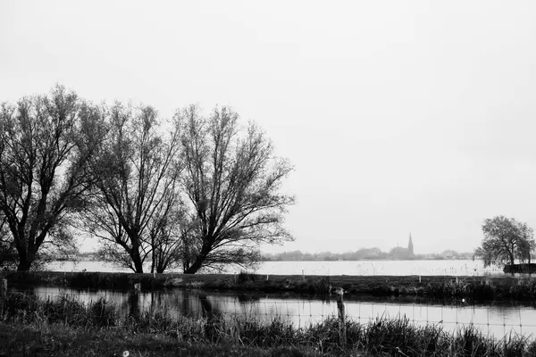 Два дерева, озеро і церква — стокове фото