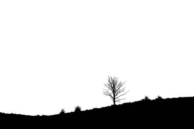 Eğimli üzerindeki tek ağaç araziler, Posbank Rheden Hollanda