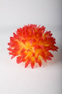 çiçek, yapay çiçek, kırmızı-sarı çiçek, 28/5000georgin krasno-zheltogo tsvetadahlia kırmızı-sarı renk, yıldız çiçeği