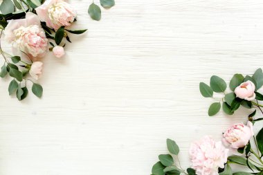 Pembe ve bej peonies çiçek tomurcukları, okaliptüs dalları ve yaprakları Beyaz ahşap arka plan üzerinde izole kenarlık çerçeve yaptı. Düz yatıyordu, en iyi görünüm. Çerçeve çiçek.