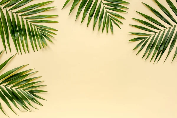 Rami Tropicali Foglie Palma Verde Isolati Fondo Giallo Appartamento Lay — Foto Stock