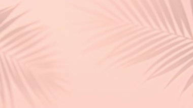 Gölge siyah beyaz palmiye yaprağı