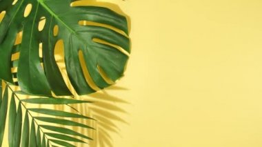 Yeşil tropik palmiye yaprakları Canavar