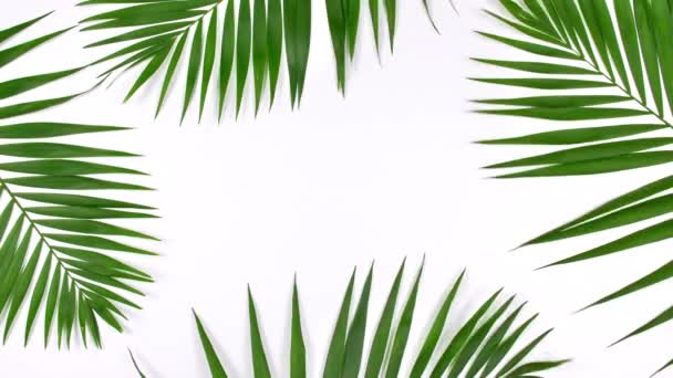 Pohyb tropických palmových listů
