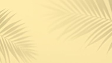 Gölge siyah beyaz palmiye yaprağı