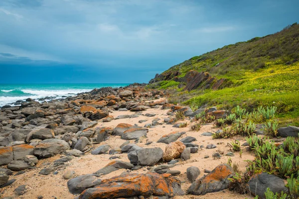 Wide view Australian beach cloudy day coast line landscape — Stock Photo, Image