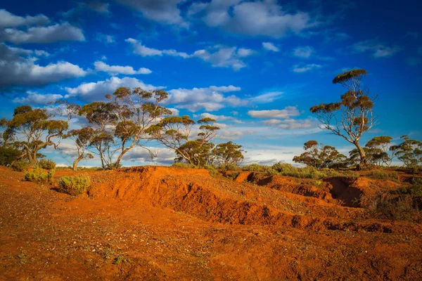 Czerwony banki sceniczny Australian Outback krajobrazu wiejskiego — Zdjęcie stockowe