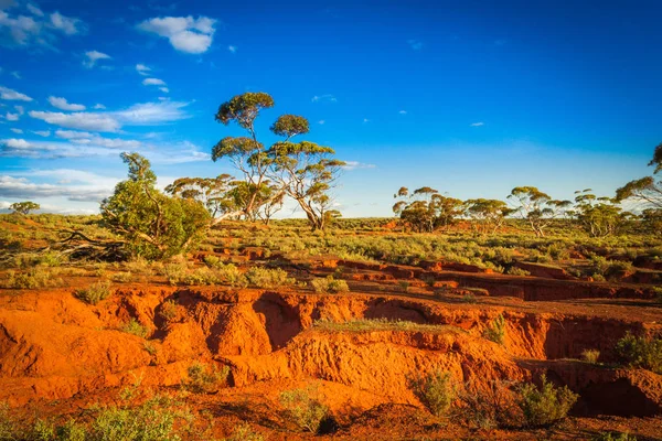 Κόκκινο τράπεζες γραφική Αυστραλιανό Outback Αγροτικού τοπίου — Φωτογραφία Αρχείου