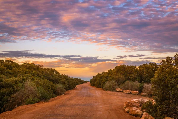 Földúton a vidéki ausztrál vadonban. Természeti táj Remo Jogdíjmentes Stock Fotók