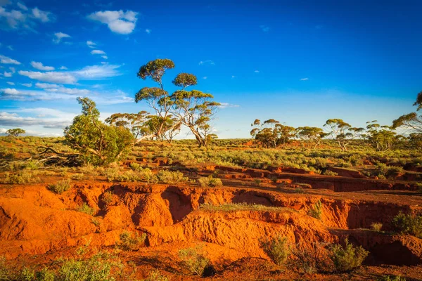 Red bankok festői ausztrál Outback vidéki táj Stock Kép