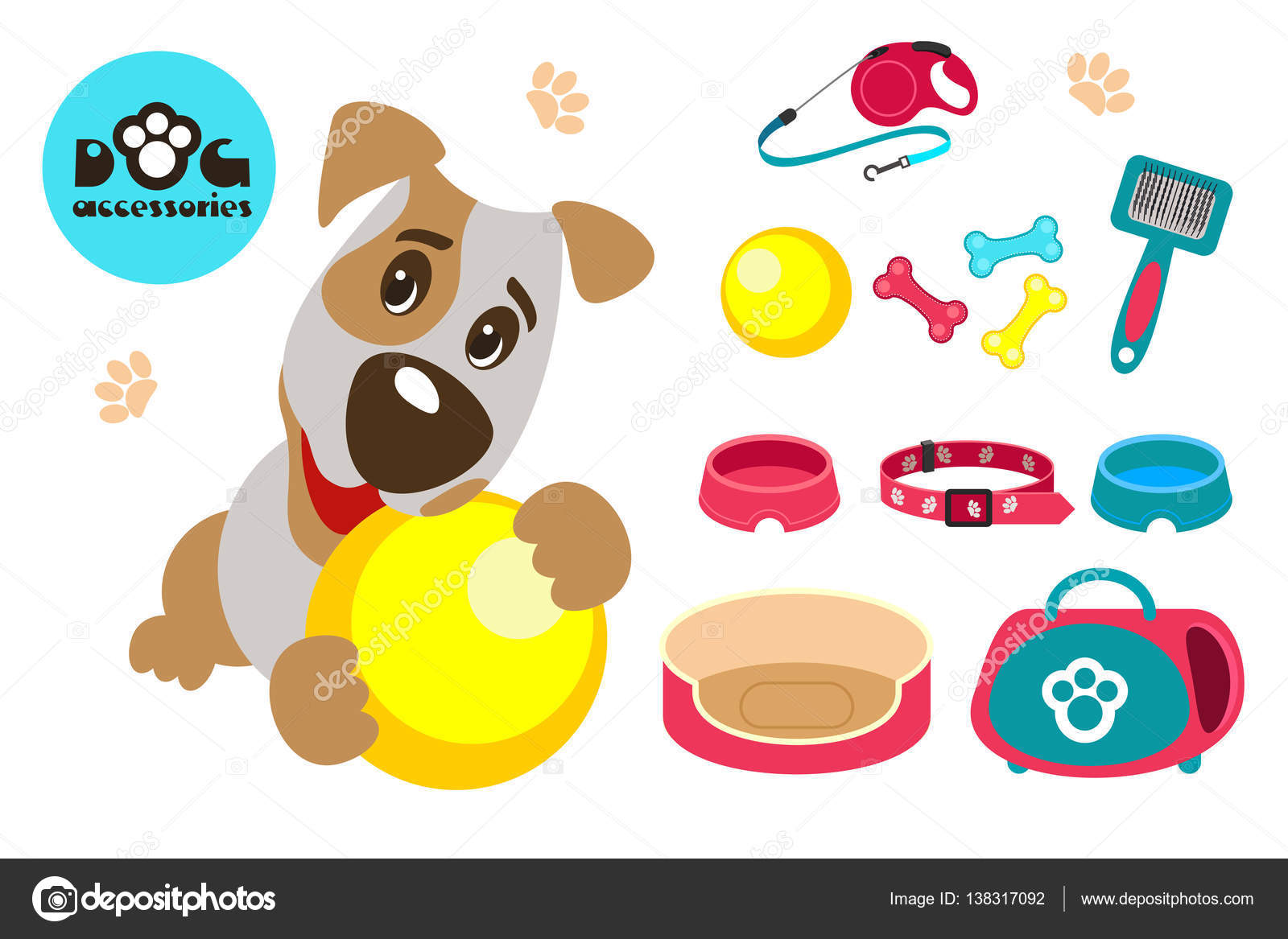 Collection of accessories for dogs. Funny dog Jack Russell Terrier