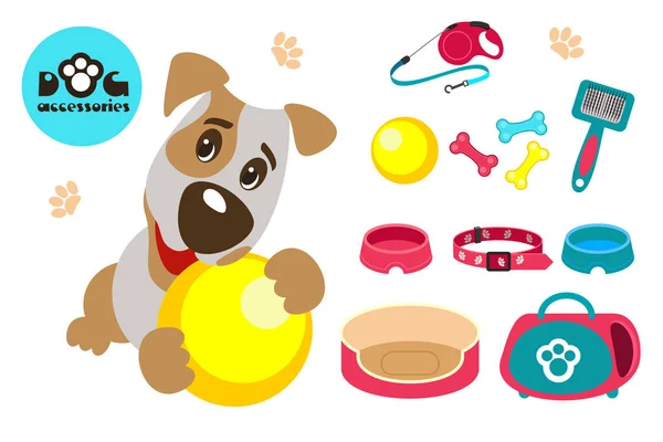 Colección de accesorios para perros. El divertido perro Jack Russell Terrier juega con la pelota. Ilustración vectorial aislada sobre fondo blanco . — Vector de stock