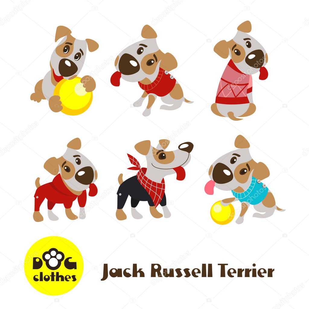 Six funny dogs Jack Russell Terrier in clothes. Clothing for dogs. Vector illustration isolated on white background.