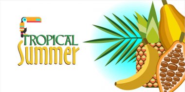 Vektör çizim. Tropik bitkiler, kakao, muz, ananas, 