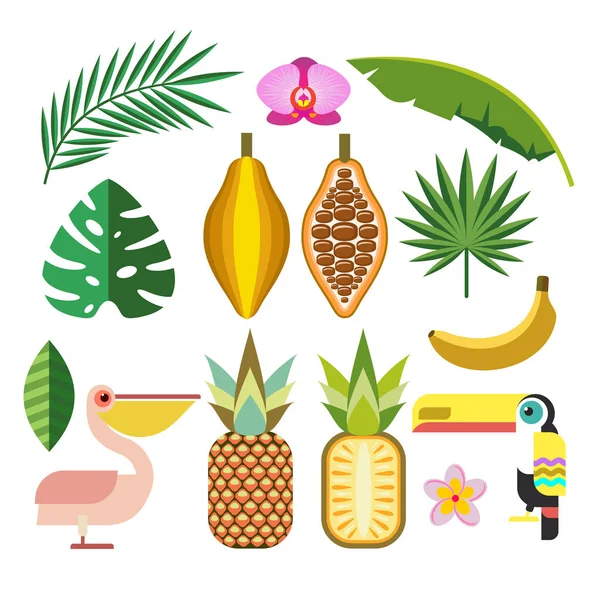 Set van vector-elementen. Tropische vogels, planten en vruchten. — Stockvector