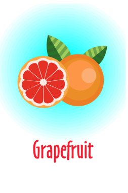 Greyfurt. Vektör çizimi. Bütün greypfrut ve meyvelerin yarısı..