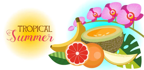 A trópusi nyár. Vektor illusztráció. Trópusi virágok és gyümölcsök. — Stock Vector