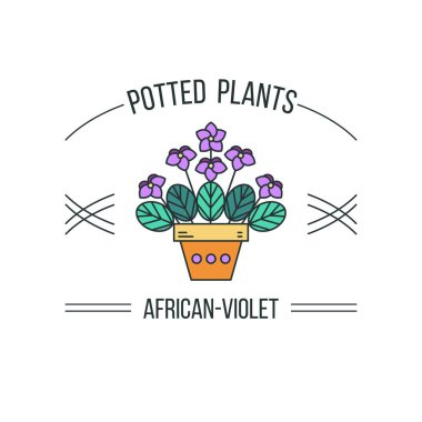 Saksılı bitki. Vektör çizim, logo. Beyaz bir arka plan üzerinde izole.