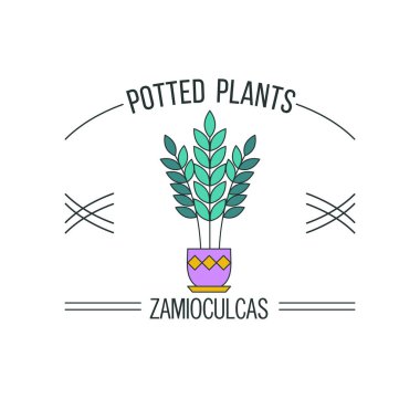 Saksı bitkileri. Vektör çizim. Beyaz bir arka plan üzerinde izole.