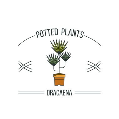 Saksı bitkileri. Bir çiçekçi dükkanı reklam. Beyaz arka plan üzerinde izole. Vektör çizim.