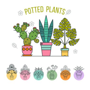 Saksı bitkileri. Tencere çiçek tanzimi. Beyaz bir arka plan üzerinde renkli çevrelerde izole doğrusal simgeler.