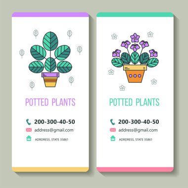 Saksı bitkileri. Kartvizit. Vektör çizim. Beyaz bir arka plan üzerinde izole.