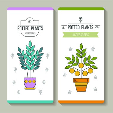 Saksı bitkileri. Kartvizit. Vektör çizim. Çiçekçi dükkanı. Beyaz arka plan üzerinde izole.