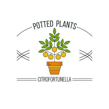 Saksı bitkileri. Çiçekçi dükkanı. Vektör çizim. Beyaz arka plan üzerinde izole.