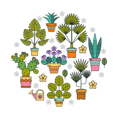 Saksı bitkileri. Tencere çiçeklenir. Bir daire şeklinde saksı çiçek tanzimi. Beyaz arka plan üzerinde izole.