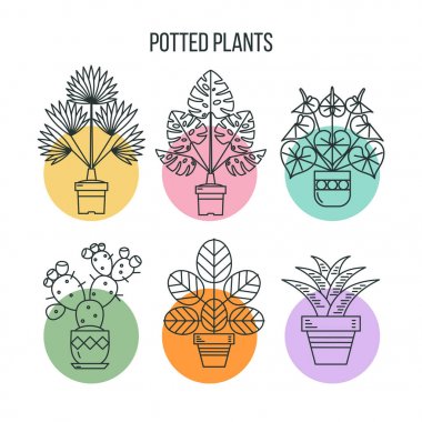 Saksı bitkileri. Beyaz bir arka plan üzerinde renkli çevrelerde izole doğrusal simgeler.