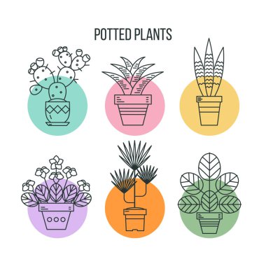 Saksı bitkileri. Beyaz arka plan üzerinde doğrusal izole simgeler.