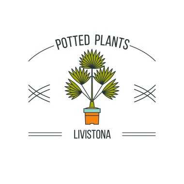 Saksı bitkileri. Vektör çizim doğrusal. Beyaz arka plan üzerinde izole.