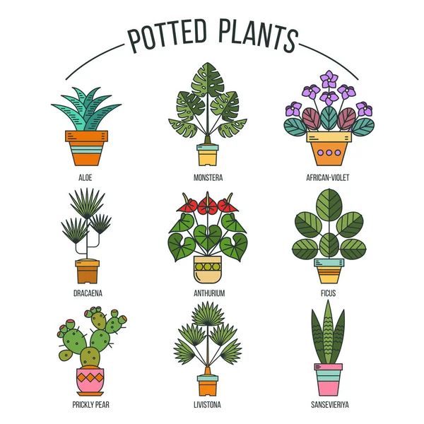 Tencere çiçeklenir. Saksı bitkileri. Vektör görüntü kümesi. Beyaz arka plan üzerinde izole.