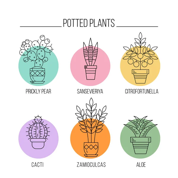 Tencere çiçeklenir. Saksı bitkileri. Vektör hat simgeler kümesi. Beyaz arka plan üzerinde izole