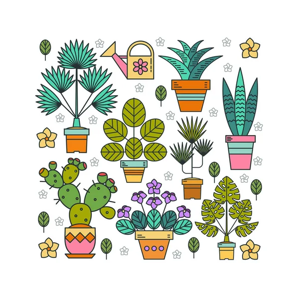 Tencere çiçeklenir. Saksı bitkileri. Bir kare şeklinde saksı çiçek tanzimi. Beyaz arka plan üzerinde izole.