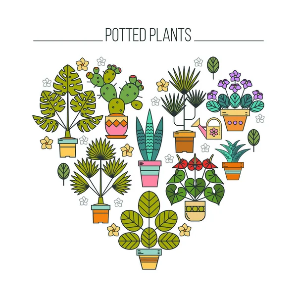 Saksı bitkileri. Tencere çiçeklenir. Bir kalp şeklinde saksı çiçek tanzimi. Beyaz arka plan üzerinde izole.