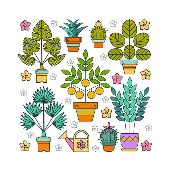 Saksı bitkileri. Tencere çiçeklenir. Bir kare şeklinde saksı çiçek tanzimi. Beyaz arka plan üzerinde izole.