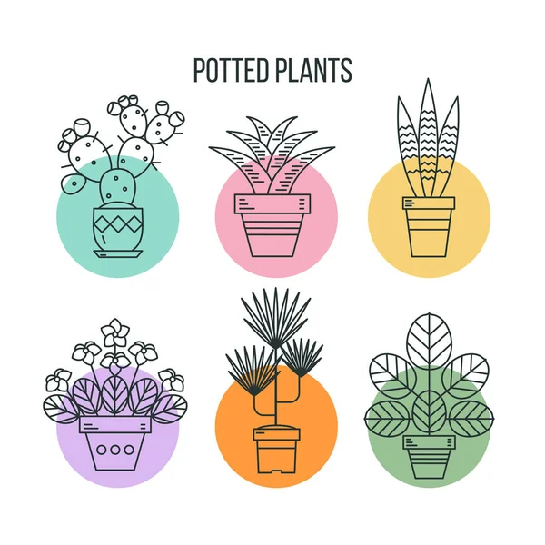 Saksı bitkileri. Beyaz arka plan üzerinde doğrusal izole simgeler.