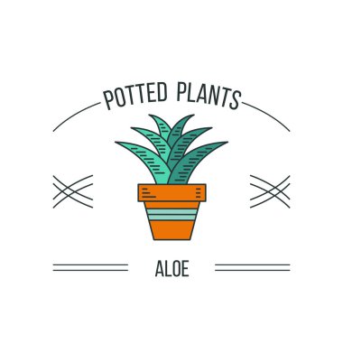 Saksı bitkileri. Vektör çizim, logo. Beyaz arka plan üzerinde izole simge..