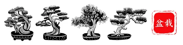 Zestaw drzew Bonsai, małe drzewa uprawiane na tacy. Wektor ręcznie rysowane czarno-białe ilustracji na białym tle. Napis w japońskiej postaci Bonsai — Wektor stockowy