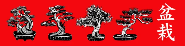 Conjunto de 4 árboles de Bonsai. Vector dibujado a mano ilustración en blanco y negro — Vector de stock