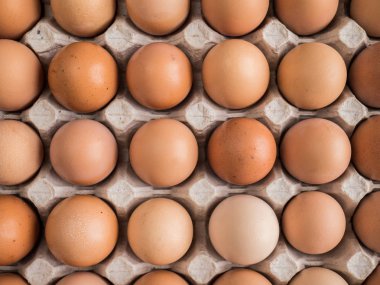 Yumurta bir sürü paket.